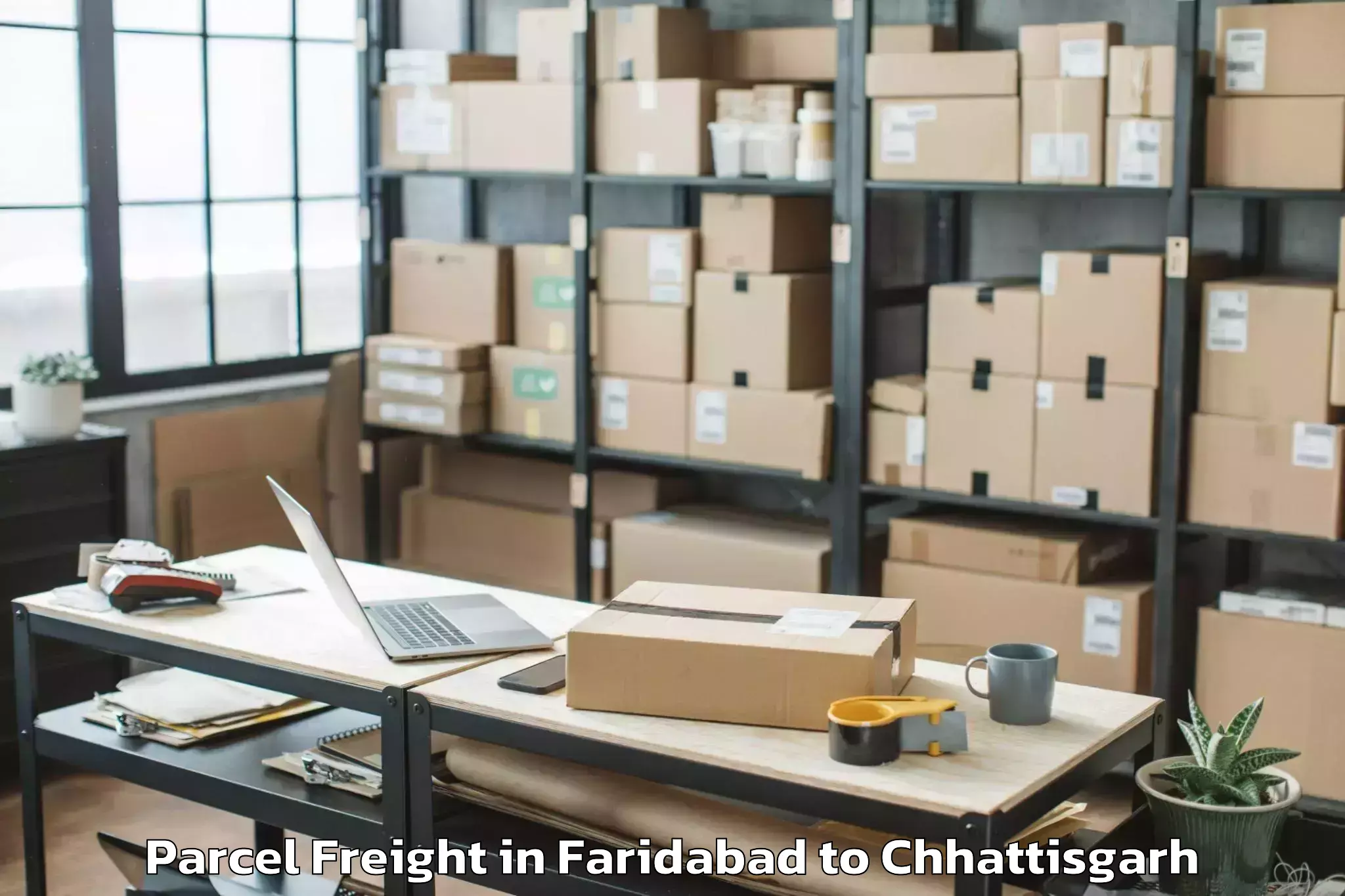 Book Faridabad to Shivrinarayan Parcel Freight Online